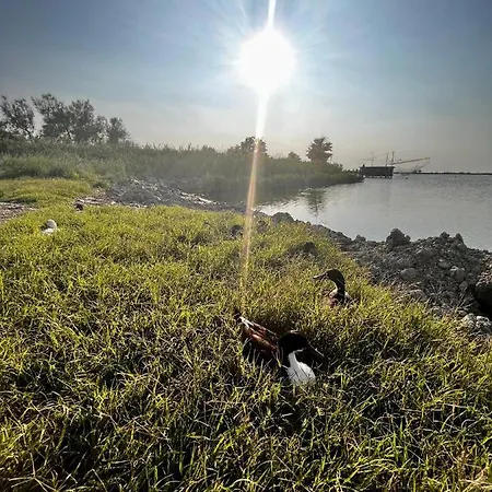 Daire Pink Flamingo *