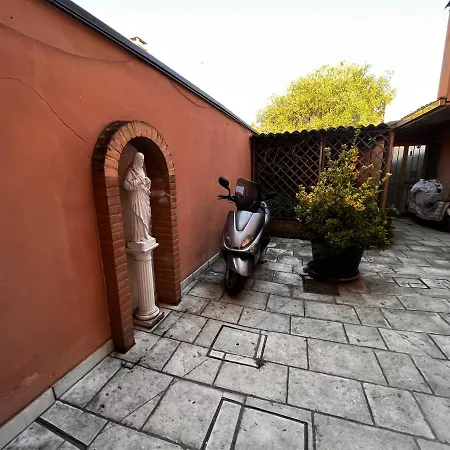 Pink Flamingo Daire Comacchio