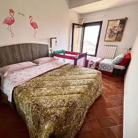 Pink Flamingo Daire *