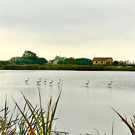 דירה Pink Flamingo