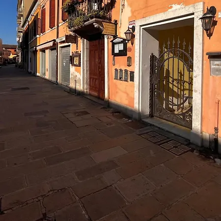 Pink Flamingo Comacchio