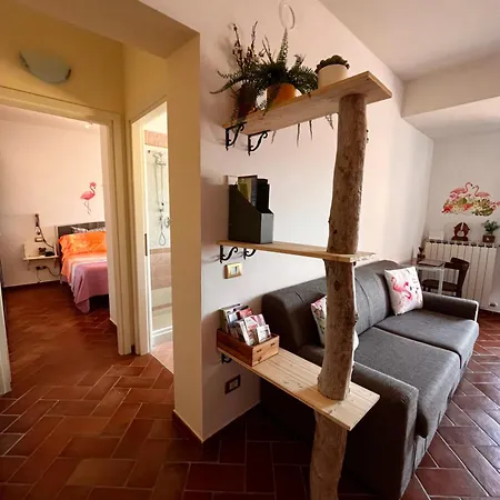 Pink Flamingo Comacchio