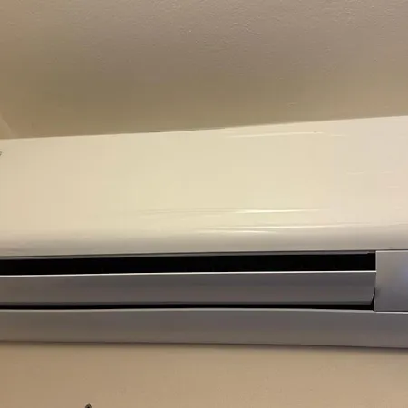 Pink Flamingo * Comacchio