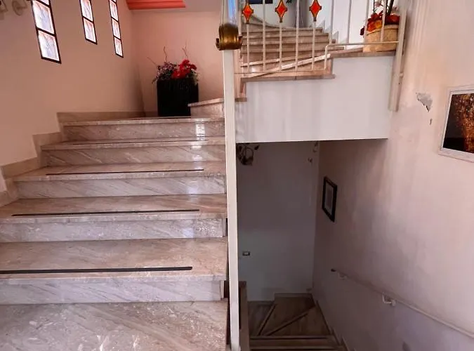 Pink Flamingo Comacchio