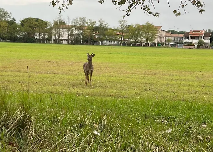 Pink Flamingo Apartment Comacchio