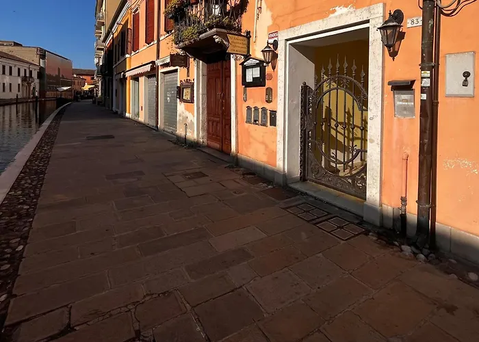 Pink Flamingo Comacchio