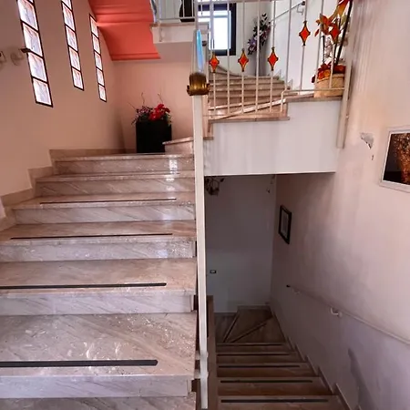 Pink Flamingo Comacchio