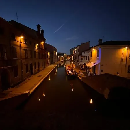 Pink Flamingo * Comacchio