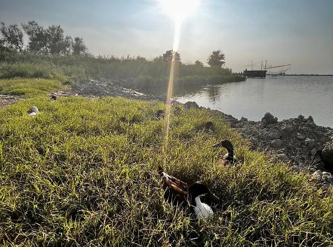 Apartment Pink Flamingo *